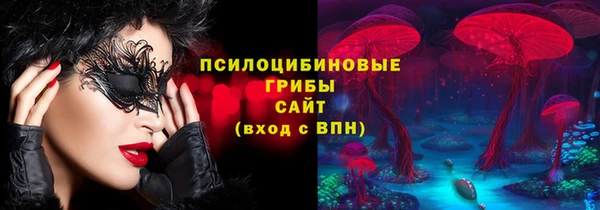 скорость Медвежьегорск