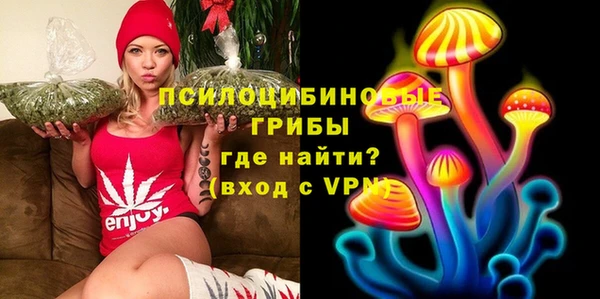 метадон Мегион