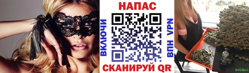 МЕГА как войти  Покров  Шишки марихуана марихуана 